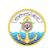 موزاییک میبد