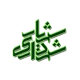 موزاییک میبد